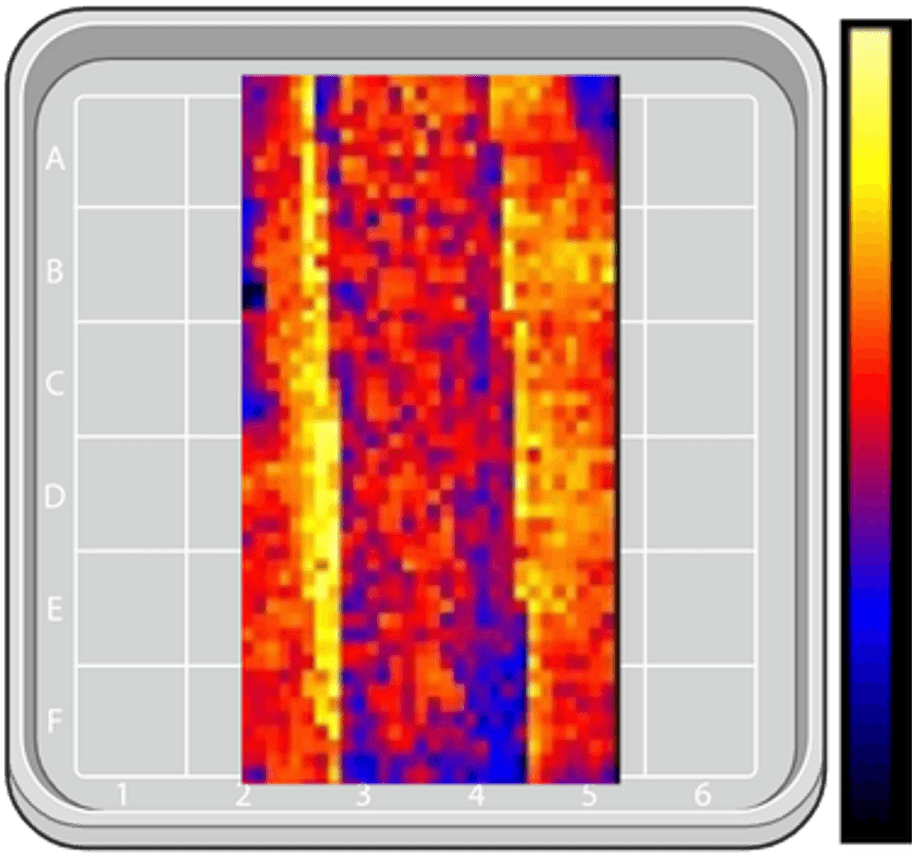 Illustration of a spatial heatmap produced by the analysis