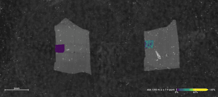 Imaging: polymer distribution across the sample